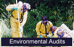 Environmental Audits