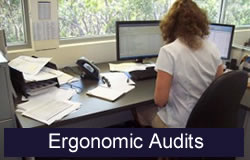 Ergonomic Audits