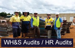 WH&S Audits