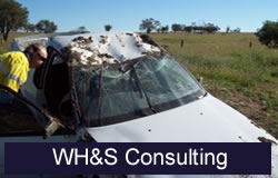 WH&S Consulting Brisbane